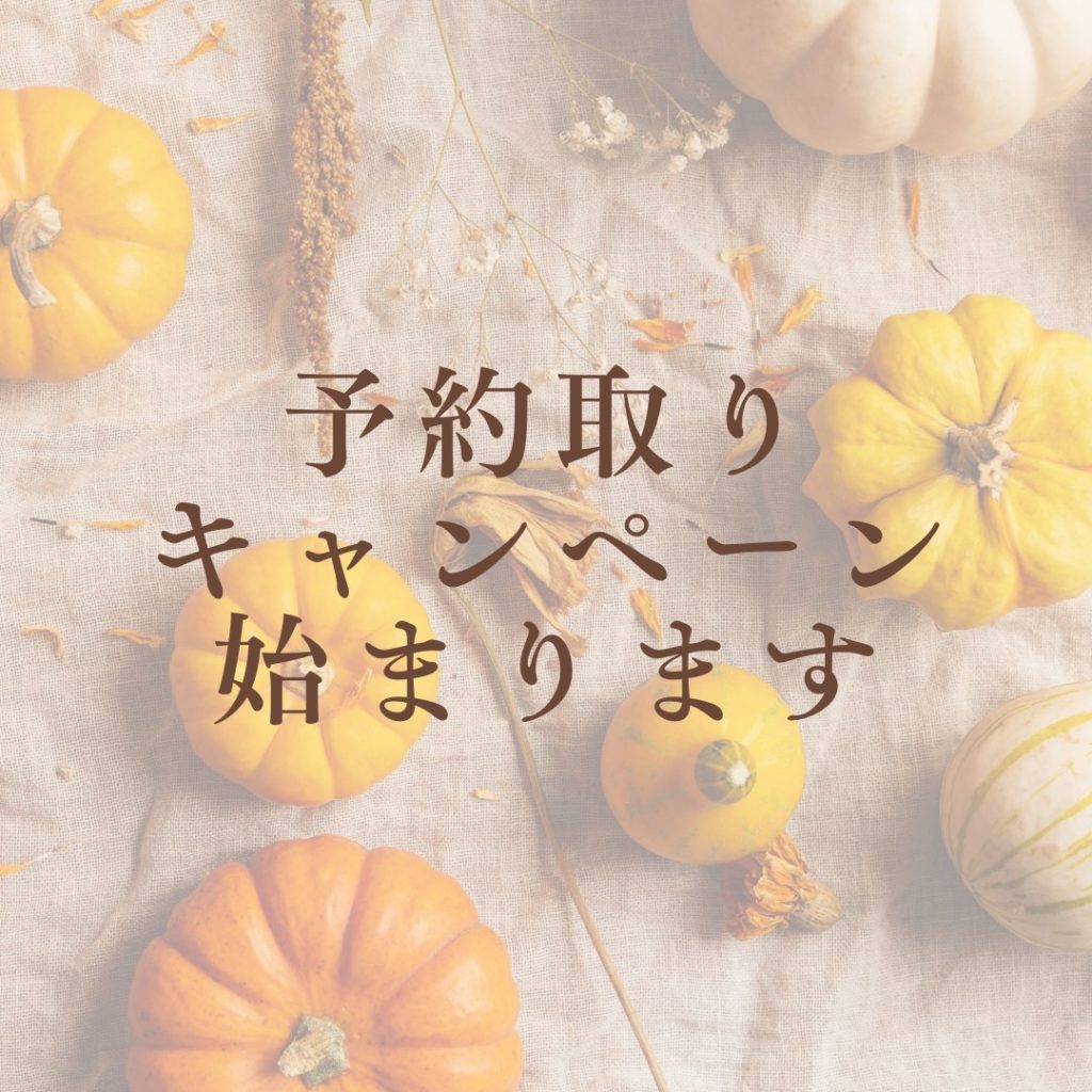 10月より始まります！