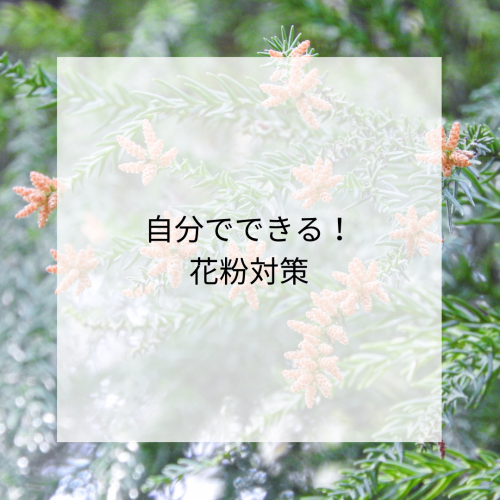 自分でできる！花粉対策
