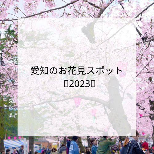🌸春のお花見スポット特集🌸