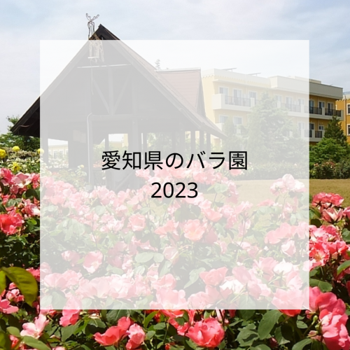 バラの品種と愛知県のバラ園